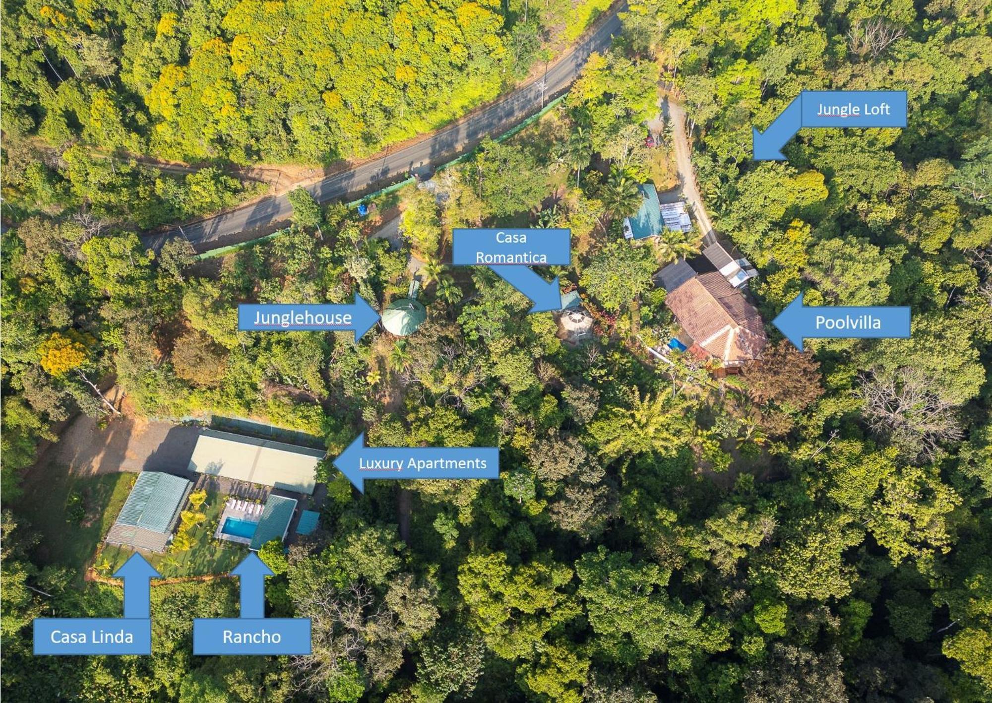 Paradiselodge Jungleguesthouse Platanillo المظهر الخارجي الصورة